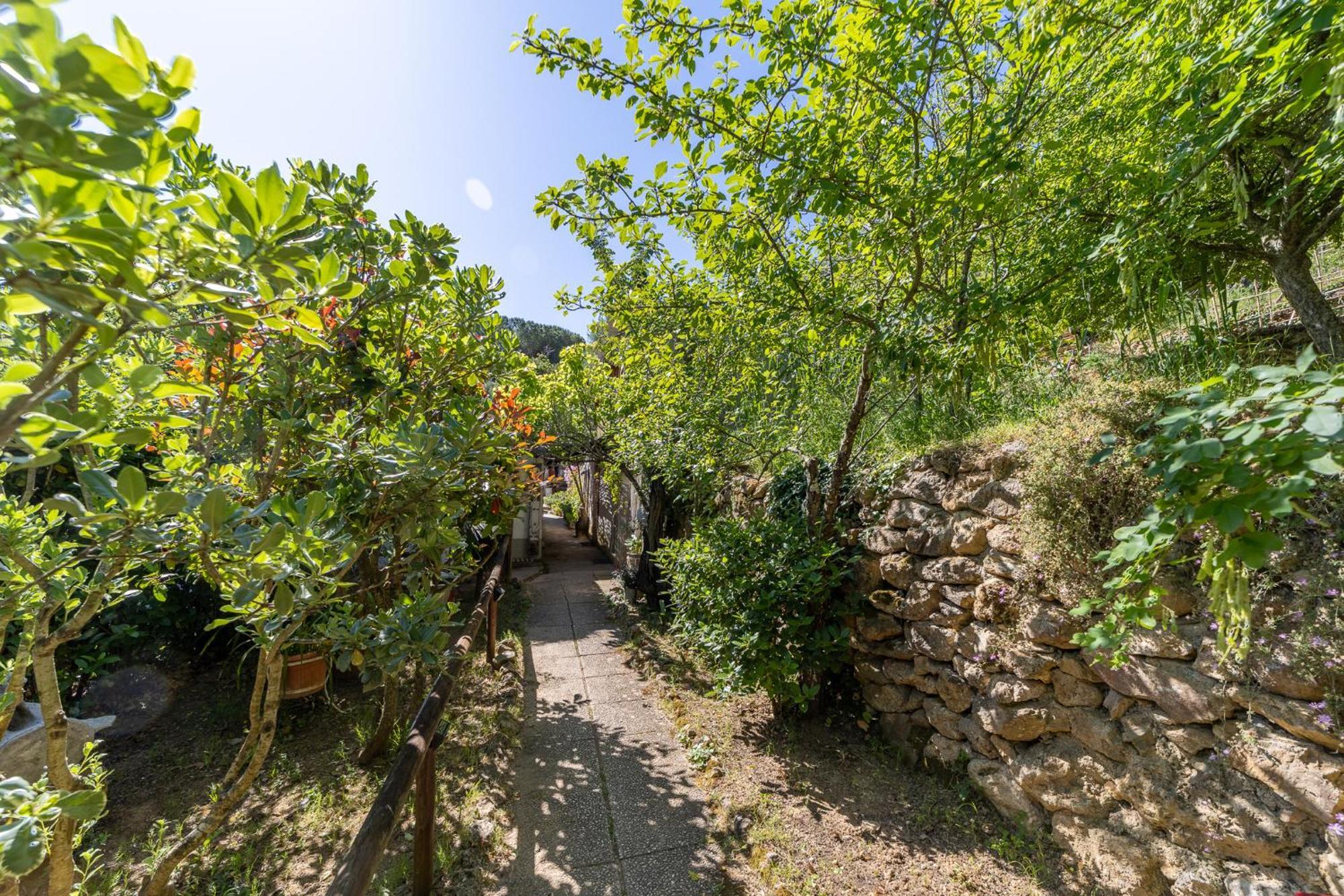 Cottage Pura Vigna Immerso Nella Natura Vicino Al Mare Porto Santo Stefano  Exterior photo